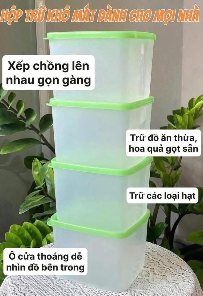 Bộ 4 Hộp Tupperware Trữ Mát 840ml - Thân Trong - Tupperware Chính Hãng