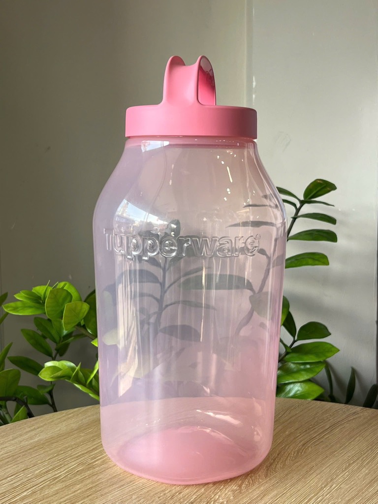 Tupmalay Bình Jar Size Lớn (01 Bình)