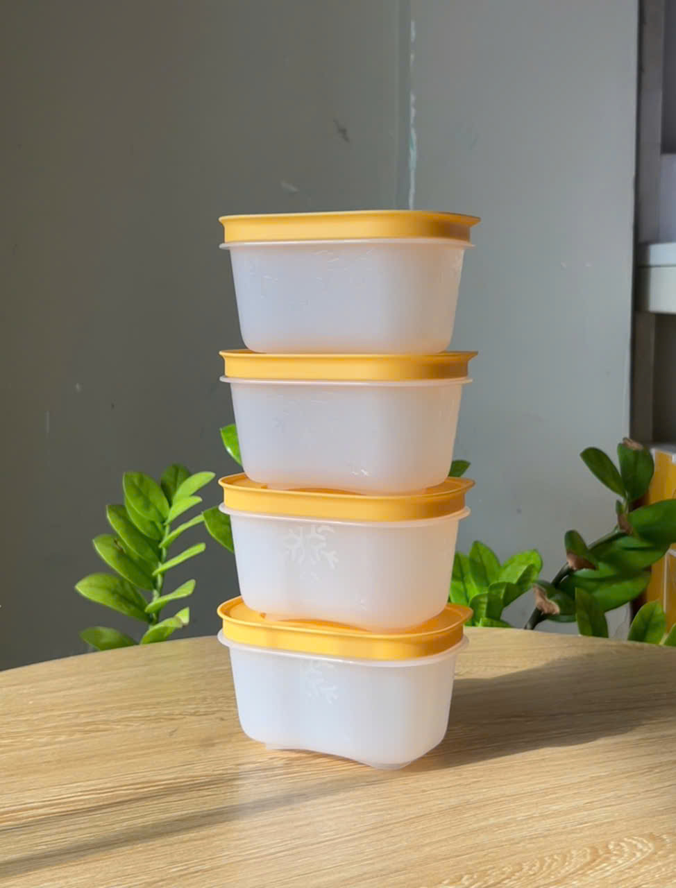 Hộp Trữ Đông Tupperware Gen II 170ml Đông Dẻo - Nắp Vàng