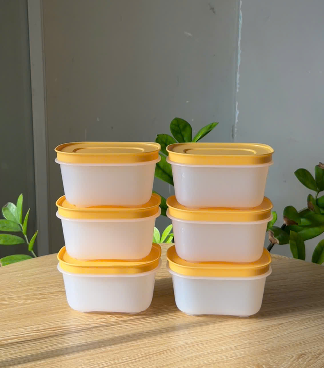 Hộp Trữ Đông Tupperware Gen II 170ml Đông Dẻo - Nắp Vàng