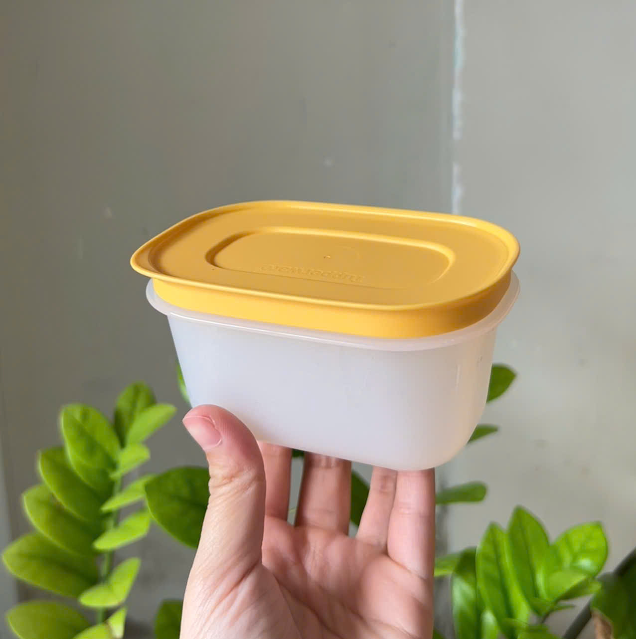 Hộp trữ đông đồ ăn dặm Tupperware Gen II 170ml cầm trên tay