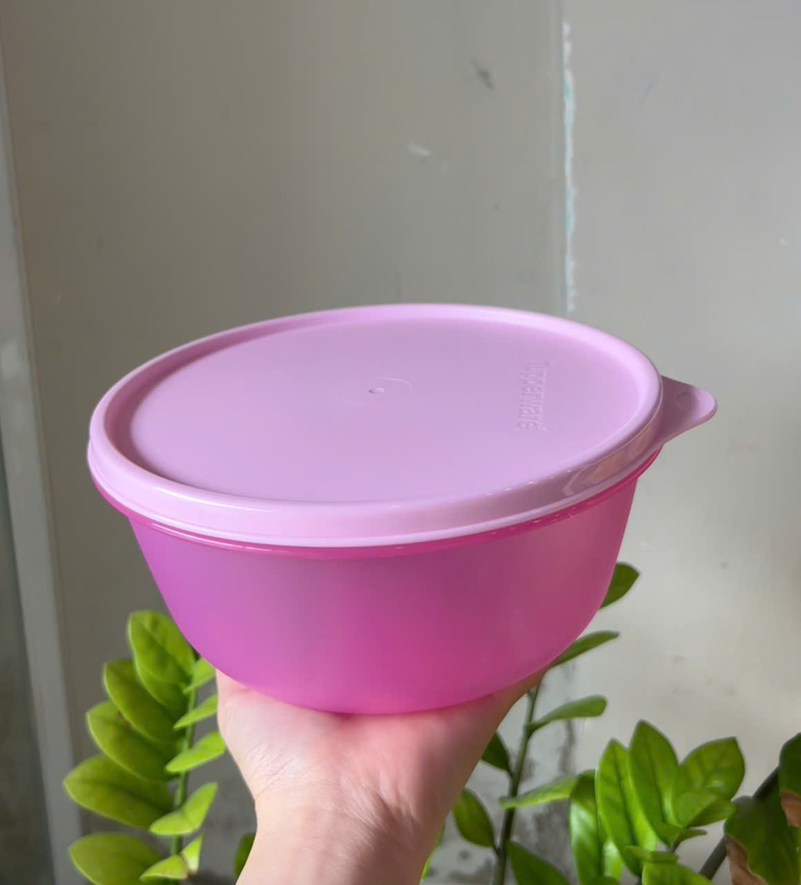 BowL Tupperware -  Tupperware Chính Hãng