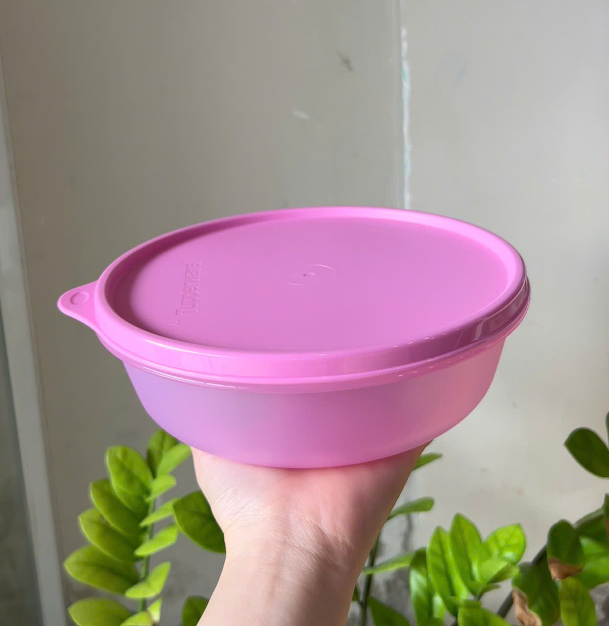 BowL Tupperware -  Tupperware Chính Hãng