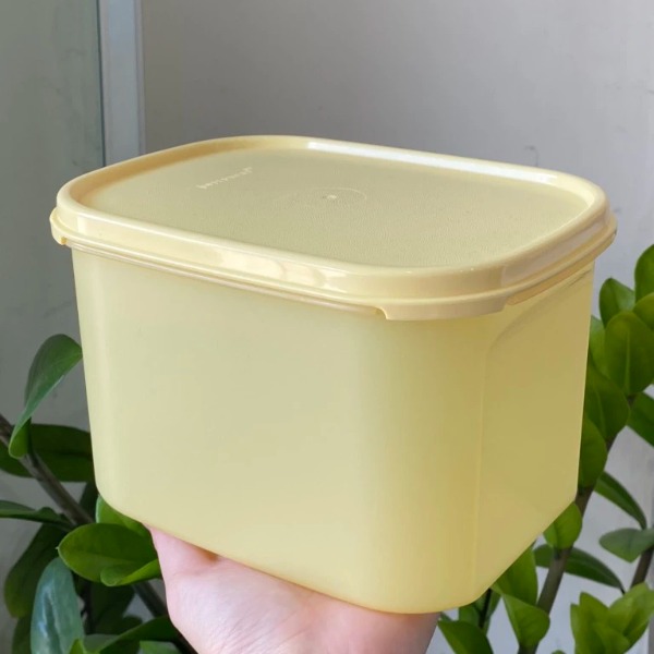 Tuptrung Hộp Tupperware mát colorful 1.9lit (4 màu)