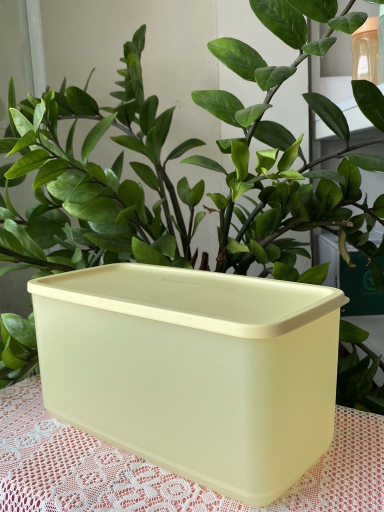 Tuptrung Hộp Lẻ Ngăn Mát Tupperware Funtastic Màu Ngẫu Nhiên 3.1L (01 Hộp)