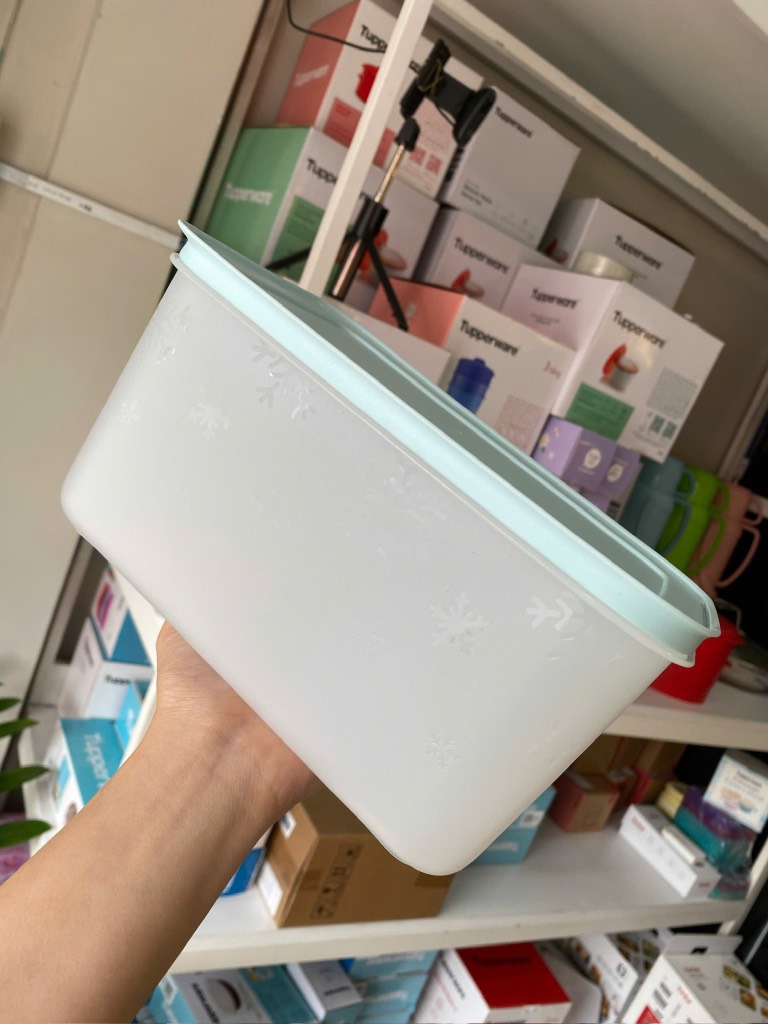 Hộp Đông Dẻo Tupperware 2.5L - trắng