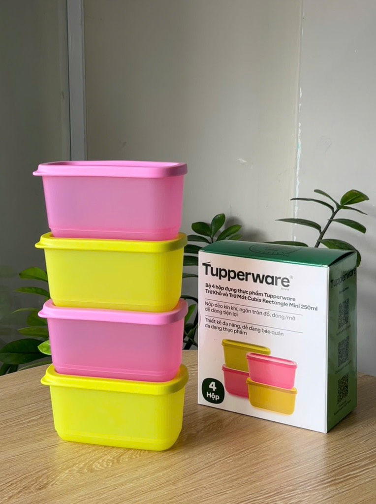 Trọn Bộ 4 Hộp Đựng Thực Phẩm Tupperware Trữ Khô Và Mát Cubix Mini Rectangle 250ml - New Tupperware