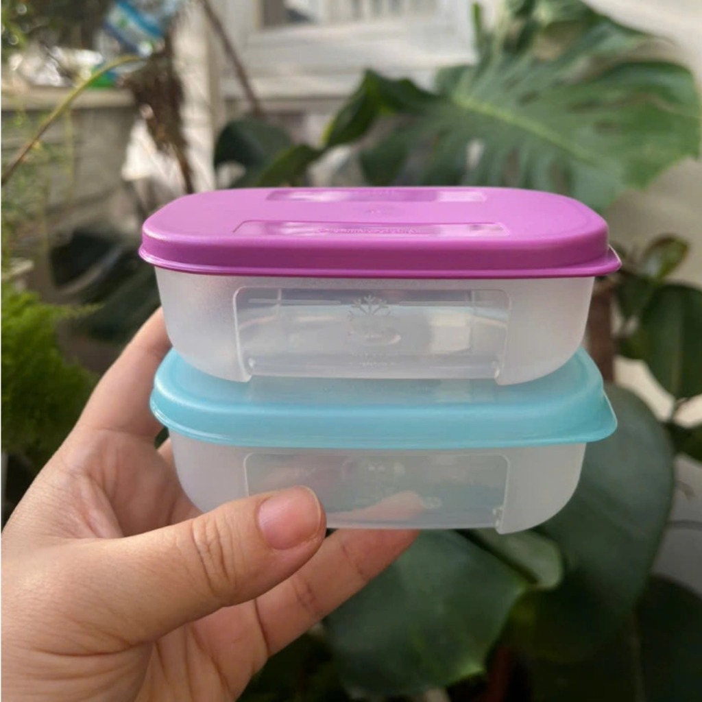 Hộp Tupperware Trữ Đông Dẹt Freemate 250ml -  Tupperware Malaysia Chính Hãng