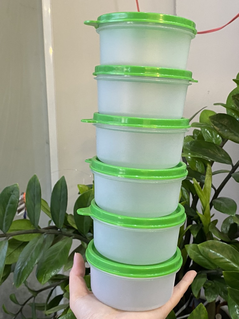 Hộp Tupperware Small server màu xanh