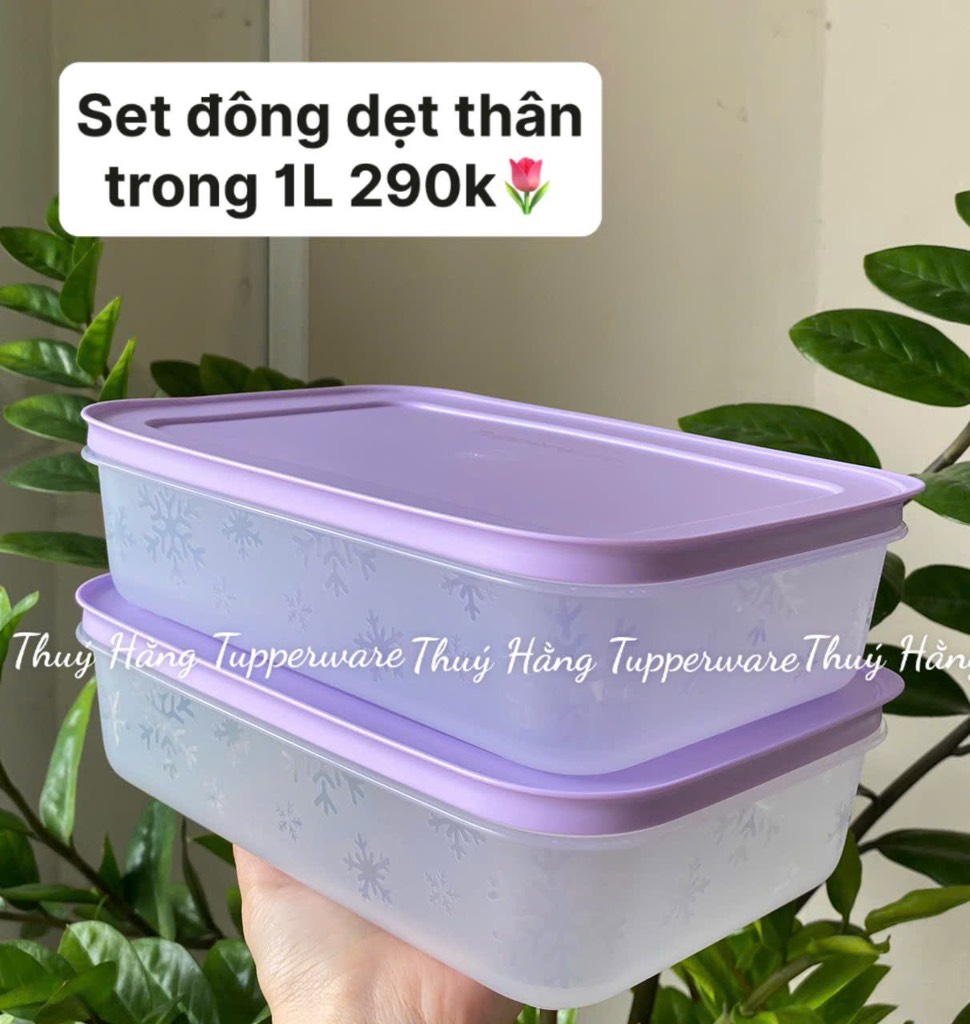 Tuptrung - Hộp đông thân trong 1L - màu tím