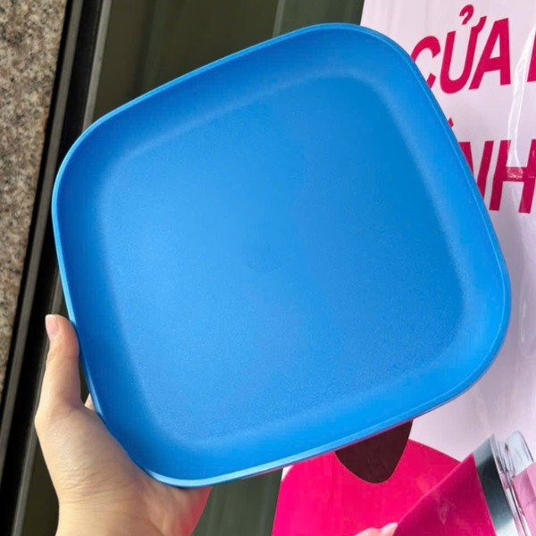 Combo Bộ Đĩa Tupperware Vuông 20cm -  4 Màu - Năm 2025 - Tupperware Trung Chính Hãng