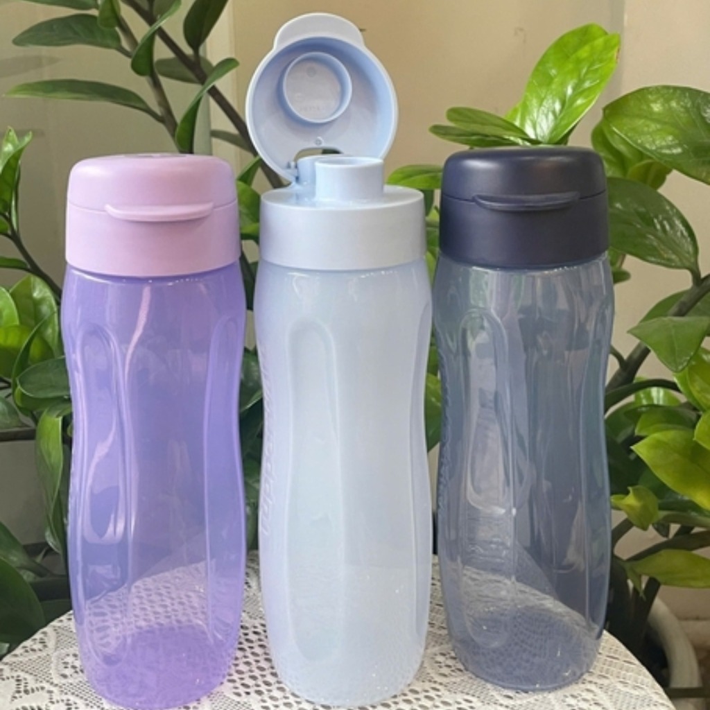 Bộ 3 Bình Nước Tupperware Eco Bottle Gen II 500ml - Tupperware Chính Hãng
