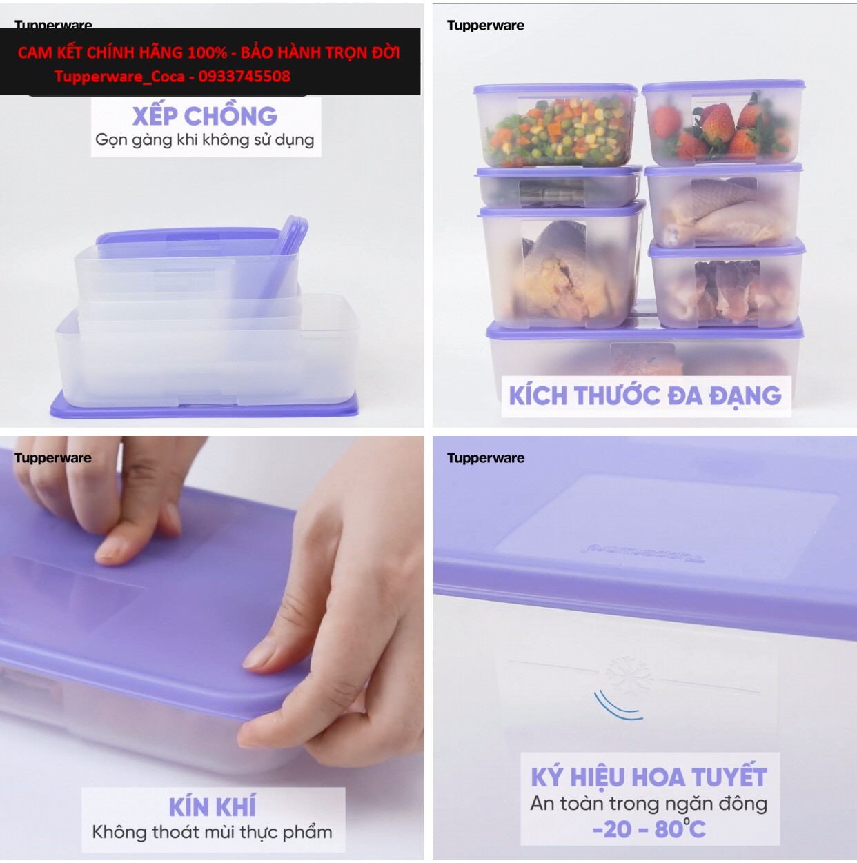 Hộp Tupperware Trữ Đông Dẹt Freemate 250ml -  Tupperware Malaysia Chính Hãng
