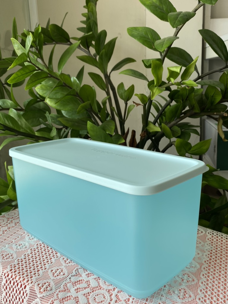 Tuptrung Hộp Lẻ Ngăn Mát Tupperware Funtastic Màu Ngẫu Nhiên 3.1L (01 Hộp)