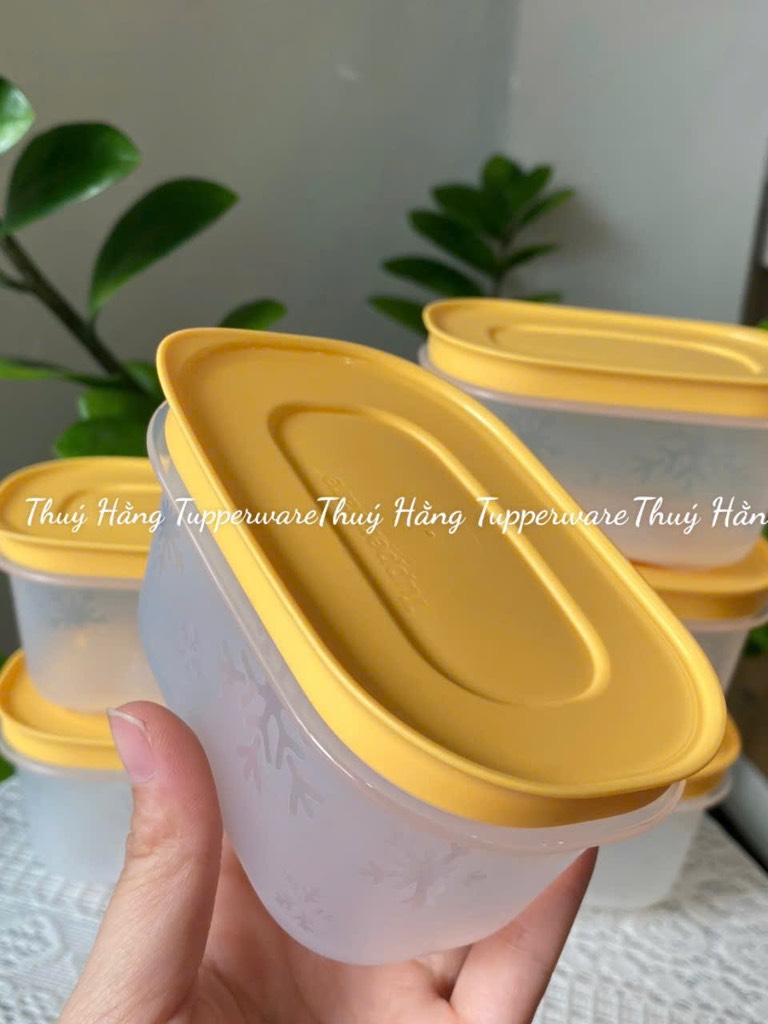 Tuptrung - Hộp Đông 170ml Thân Trong Nắp Vàng (01 Hộp)
