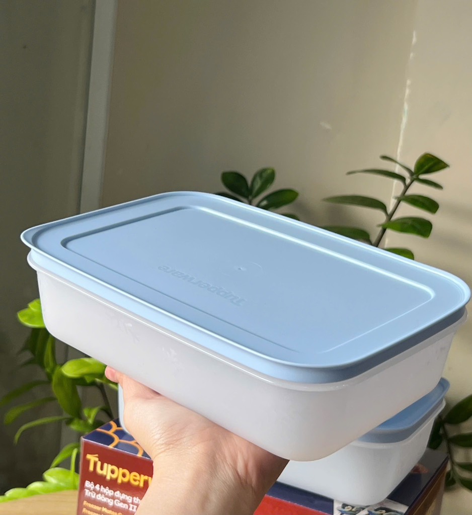 Hộp đựng thực phẩm Tupperware trữ đông Gen II - New Tupperware