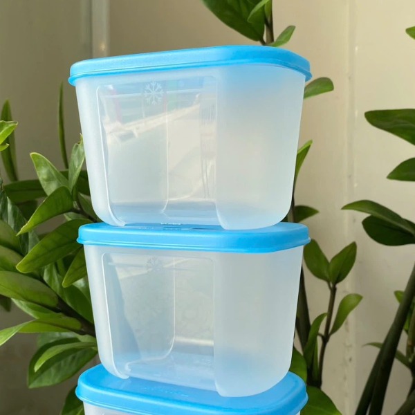 Tuptrung - Hộp đông 300ml - thân trong nắp xanh basic
