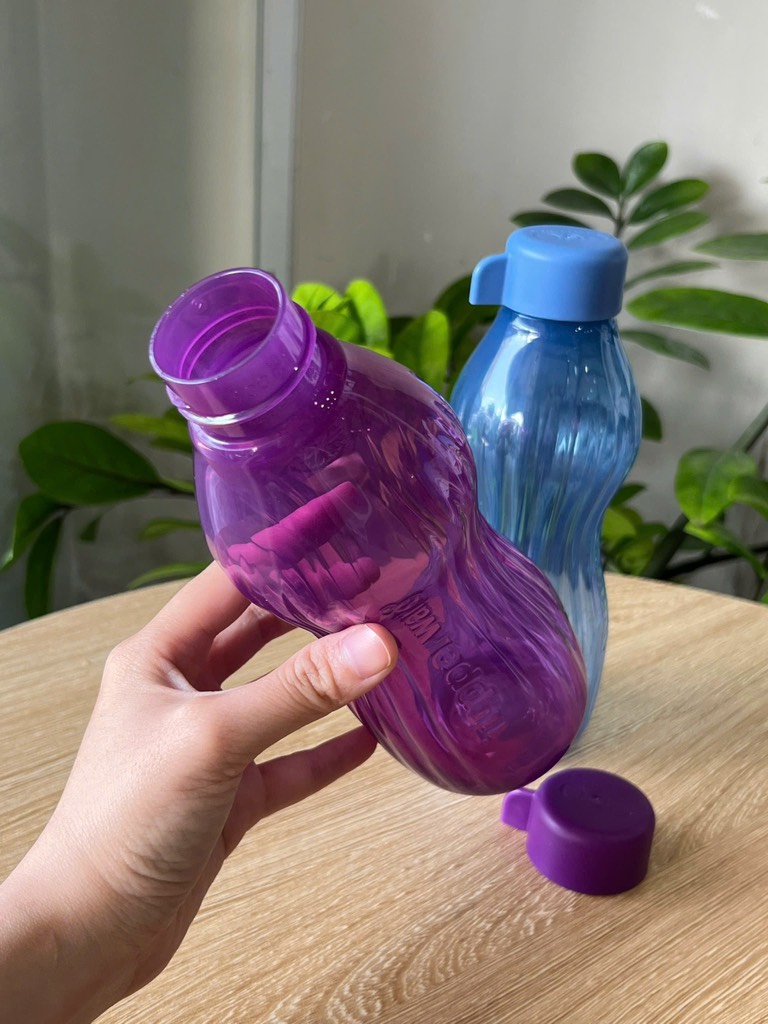 TupMalay - Bình Nước Ngăn Đông Tupperware 500ml