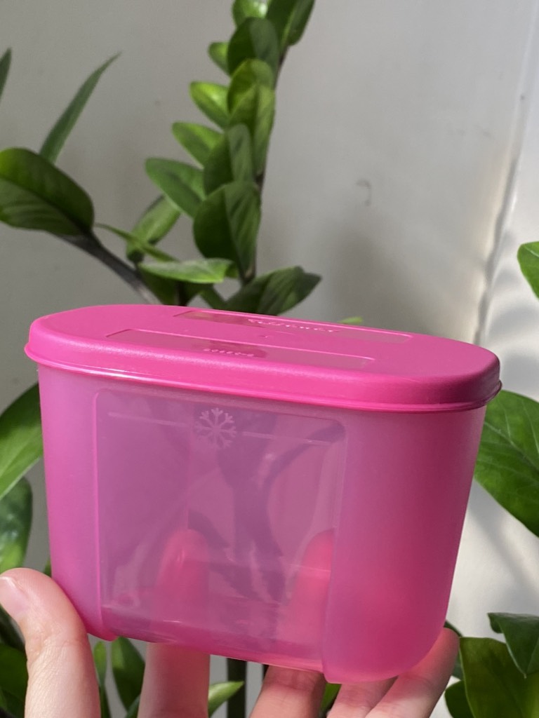 Tuptrung Hộp Đông Thường 300ml (01 Hộp)