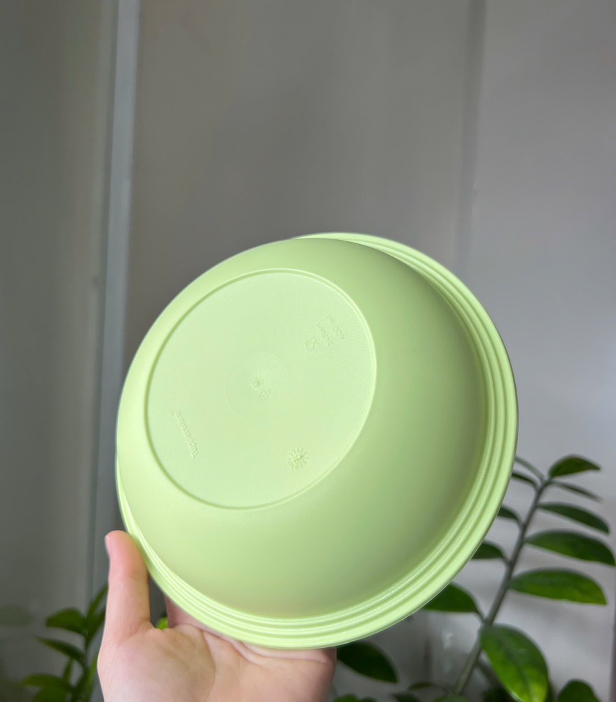Dĩa/ đĩa Sâu Lòng Everyday Plate Set 4 Tupperware 4 Màu 17.5cm
