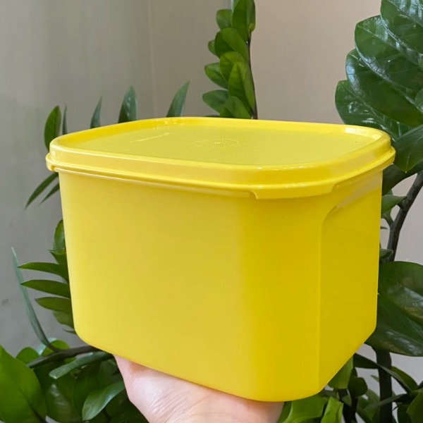 Tuptrung Hộp Tupperware mát colorful 1.9lit (4 màu)