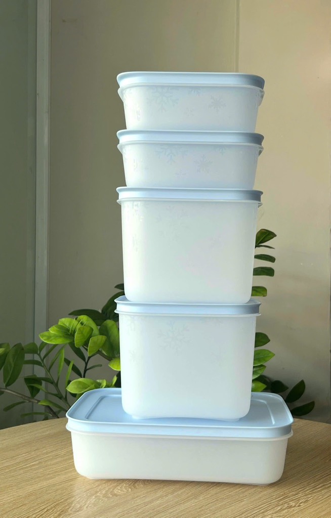 Bộ 5 Hộp Trữ Đông Tupperware Gen II Conterner (2h 450ml+2h 1.1L+1h dẹt 1L) - Đông Dẻo Cao Cấp - New Tupperware