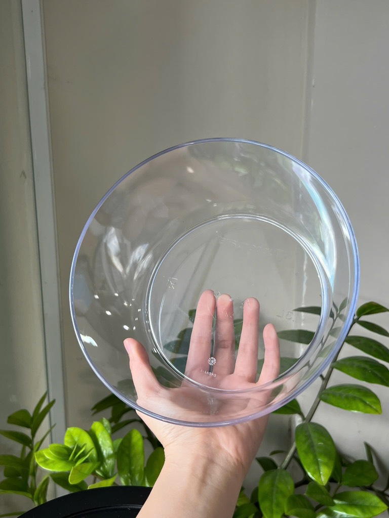 Tupmalay Hộp Tròn Màu Đen Clear Bowl 1.3L