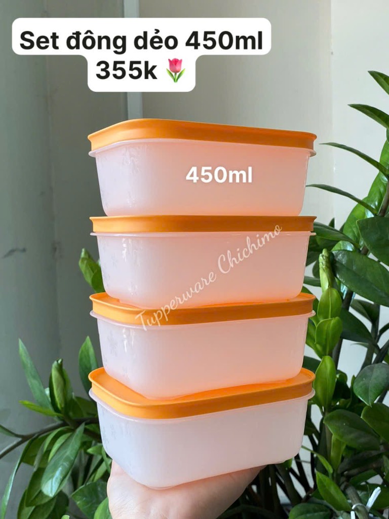 Hộp Lẻ Tupperware Đông Dẻo 450ml