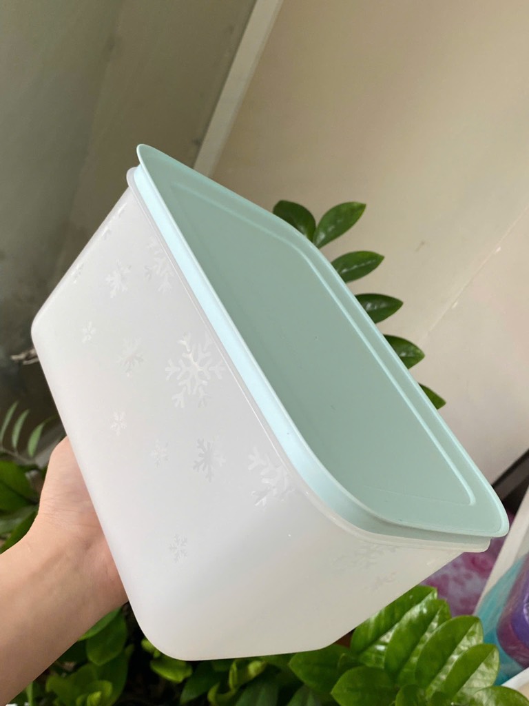 Hộp Đông Dẻo Tupperware Tách Set 2.5L