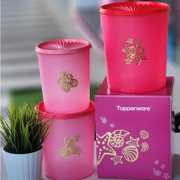 Tupmalay Set Hộp Hình Trụ Khô One Touch Có Hình Giữa Thân (01 Set)