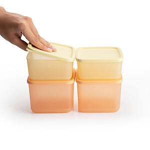 Bộ 4 Hộp Trữ Mát Cubix Square 1L và 650ml - New Tupperware