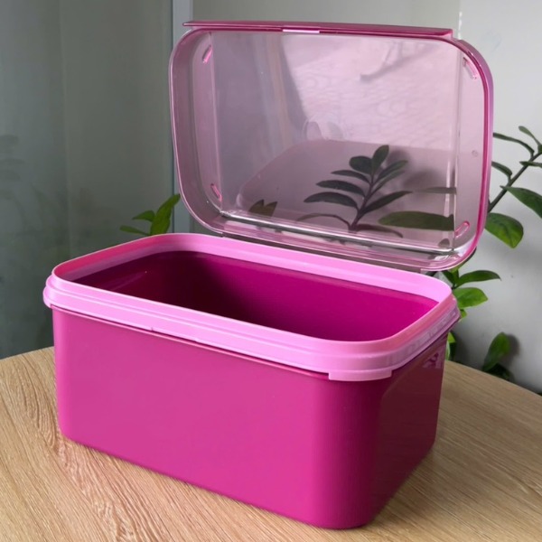 Hộp Tupperware Trữ Mát Ezy Rectangular Keeper 6.5L - Nắp Liền - Tupperware Malaysia Chính Hãng