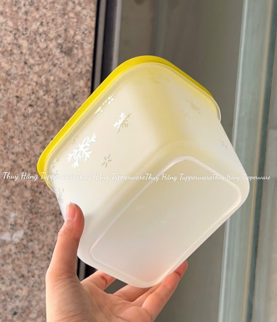 Hộp Tupperware Trữ Đông 1.1L- Đông Thân Trong Nắp Cốm - Tupperware Trung Chính Hãng