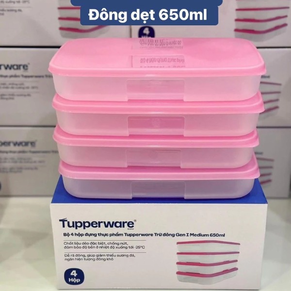 Hộp Tupperware Trữ Đông 650ml Dẹt - Nắp Hồng