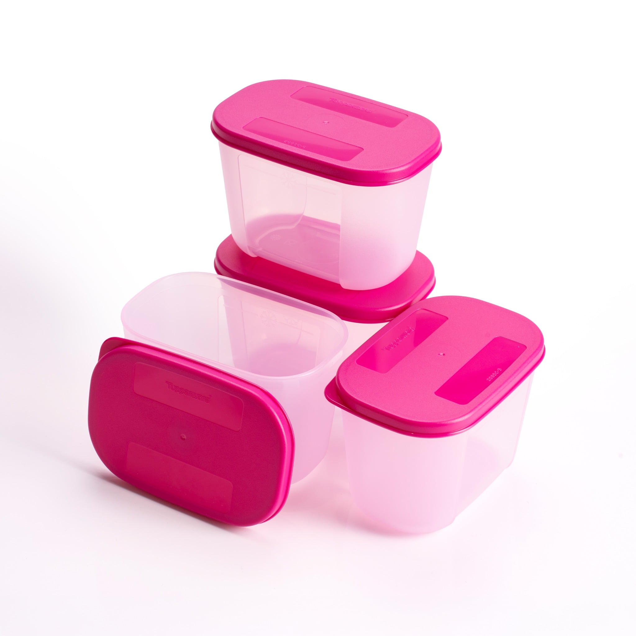 Bộ 4 Hộp Trữ Đông Tupperware Gen I Mini 300ml