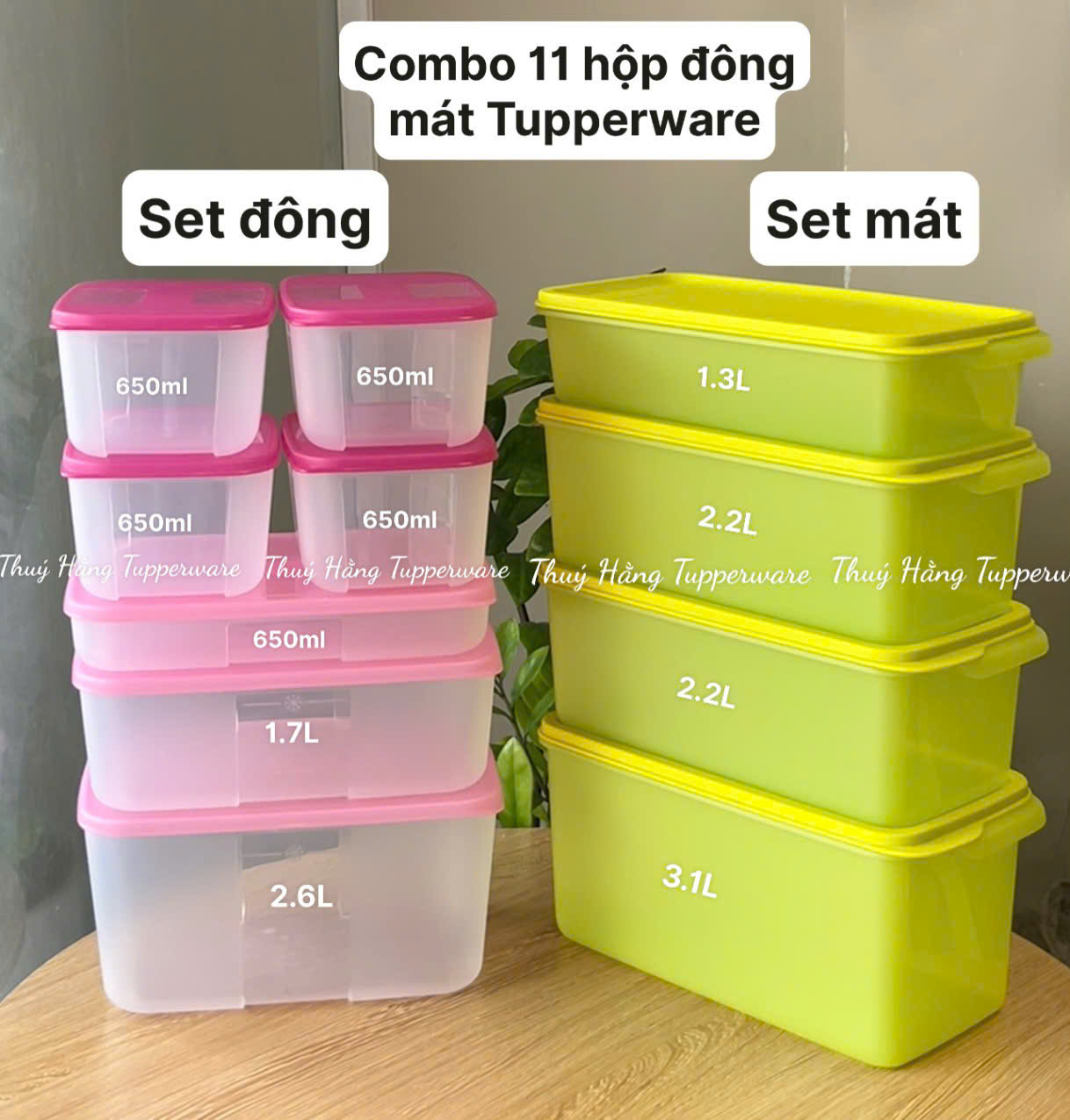 Bộ 11 Hộp Trữ Đông & Mát Tupperware ( 7 Hộp Đông 4 Hộp Mát )