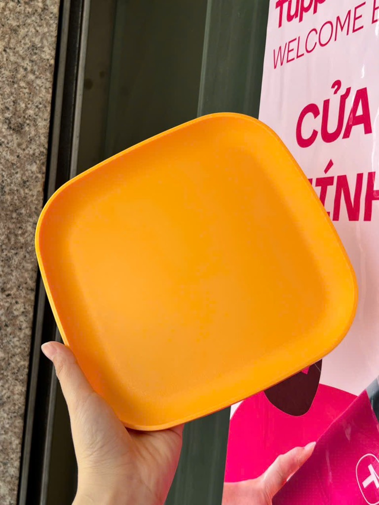 Combo Bộ Đĩa Tupperware Vuông 20cm -  4 Màu - Năm 2025 - Tupperware Trung Chính Hãng
