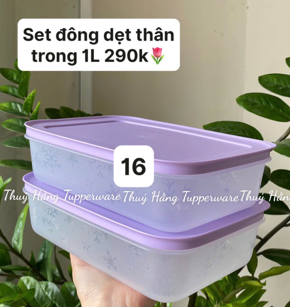Tuptrung - Hộp đông thân trong 1L - màu tím
