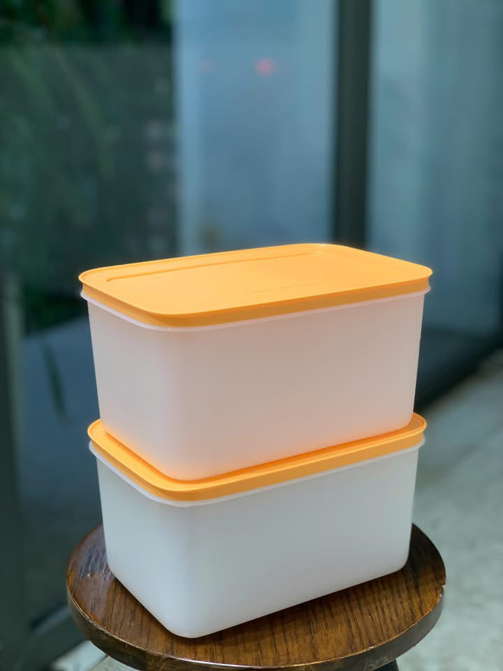Tuptrung Hộp đông dẻo 2.5lit - nắp cam