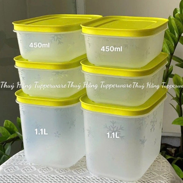 Bộ 6 Hộp Tupperware Trữ Đông  4 Hộp 450ml+2 Hộp 1.1L - Nắp Cốm Đông Thân Trong Bông Tuyết - Tupperware Trung Chính Hãng
