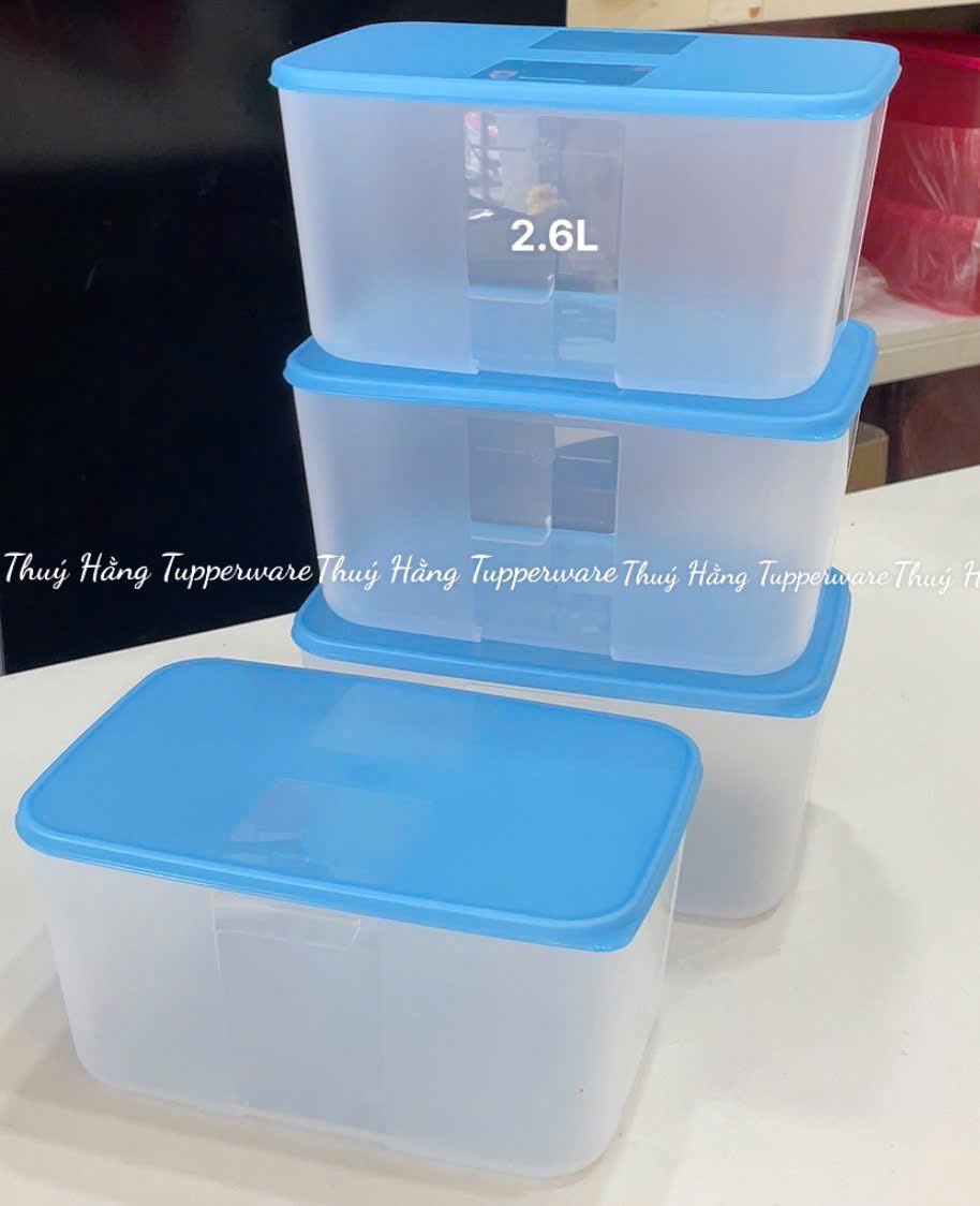 Tuptrung Hộp Đông Nắp Xanh Dương Basic