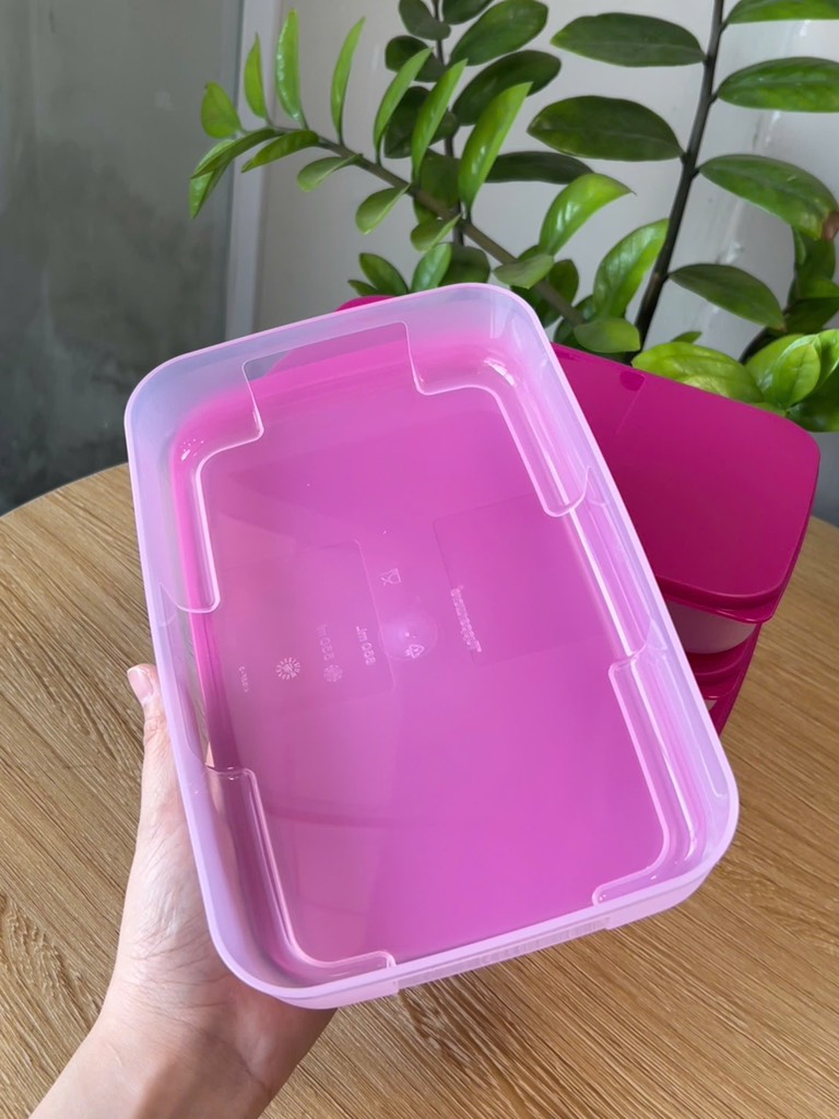 Hộp Tupperware Trữ Đông 650ml Dẹt - Nắp Hồng