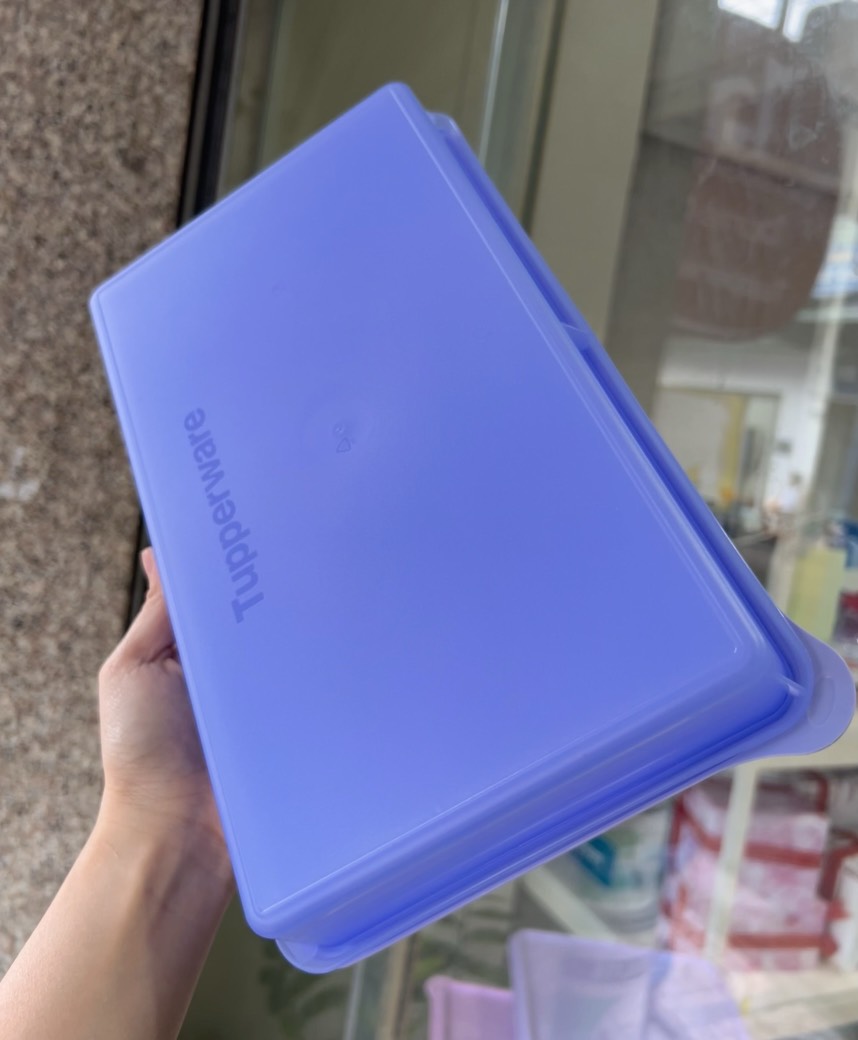 Hộp Tupperware Trữ Mát Cold Cut Keeper - Tupperware Malaysia Chính Hãng