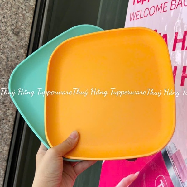 Combo Bộ Đĩa Tupperware Vuông 20cm -  4 Màu - Năm 2025 - Tupperware Trung Chính Hãng