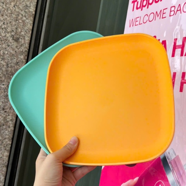 Combo Bộ Đĩa Tupperware Vuông 20cm -  4 Màu - Năm 2025 - Tupperware Trung Chính Hãng