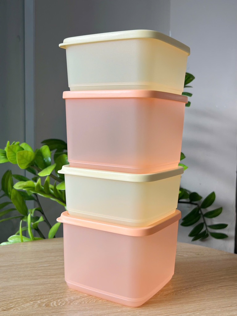 Bộ 4 Hộp Trữ Mát Cubix Square 1L và 650ml - New Tupperware