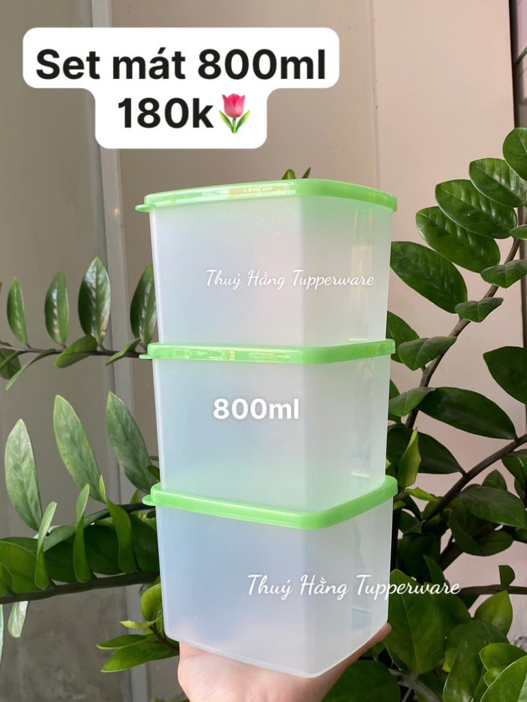 Tuptrung Hộp Mát Nhựa Cứng Thân Đục Nắp Xanh Lá