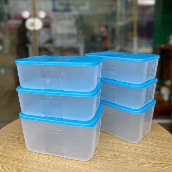 Bộ 6 Hộp Tupperware Trữ Đông Gen I Medium 2.3L & 1.5L - New Tupperware