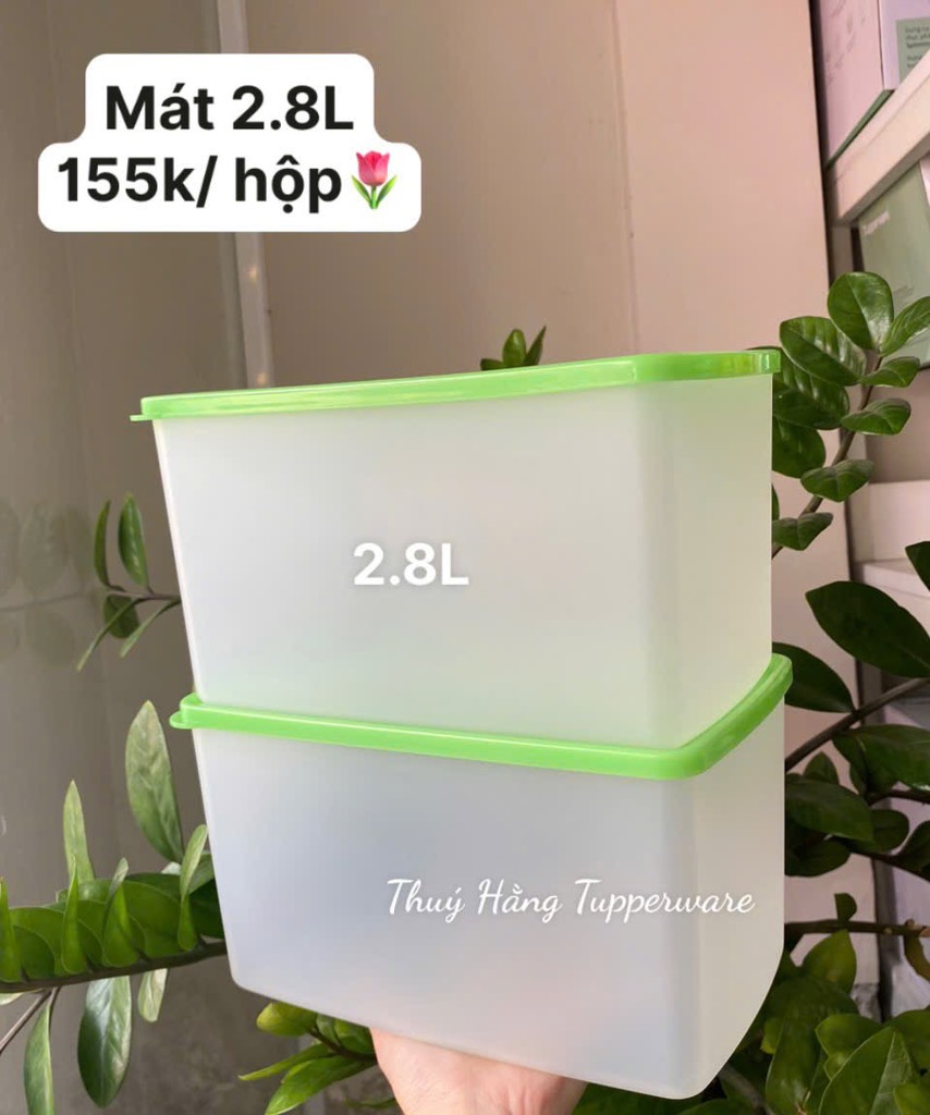 Tuptrung Hộp Mát Nhựa Cứng Thân Đục Nắp Xanh Lá