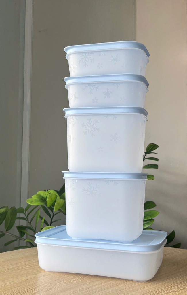 Bộ 5 Hộp Trữ Đông Tupperware Gen II Conterner (2h 450ml+2h 1.1L+1h dẹt 1L) - Đông Dẻo Cao Cấp - New Tupperware